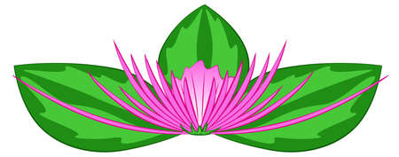Abstract pink flower with green leaves, vector illustrationのイラスト素材