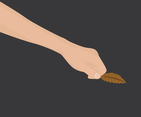 Hand holding an autumn brown leaf. Vector illustrationのイラスト素材