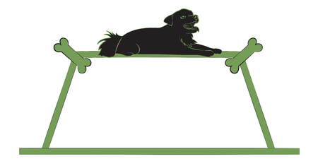 Silhouette of a small black dog on the green frame. Vector illustrationのイラスト素材