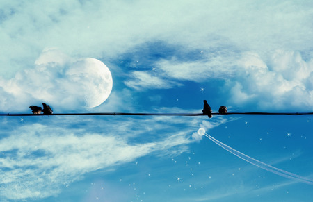 Black birds sit on the wire against the background of a magical sky with a moon and cloudsの写真素材