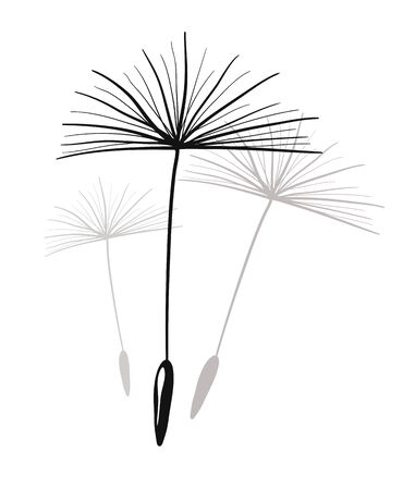 Dandelion seed with fluff. Simple vector illustration.のイラスト素材