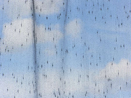 Blue sky through the tulle. Close up texture.の写真素材