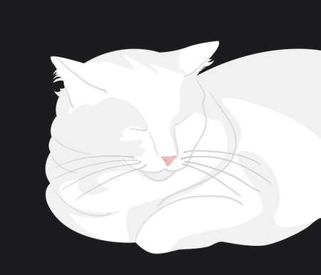 Portrait of a sleeping fat white cat. Vector illustrationのイラスト素材