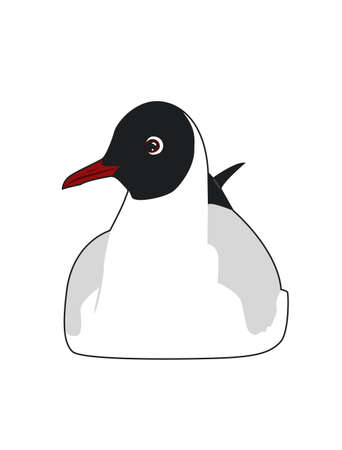 Black headed gull. Cartoon vector illustrationのイラスト素材