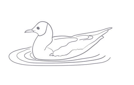 Simple drawing, contour of a seagull. vector illustrationのイラスト素材