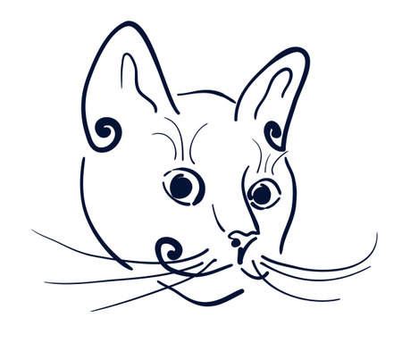 Doodle cat muzzle, simple vector illustrationのイラスト素材