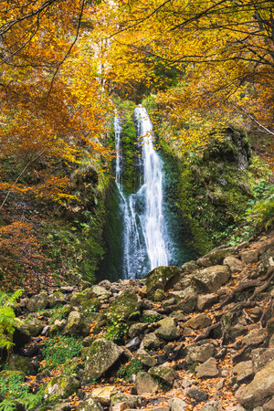 Beautiful Waterfall in Autumn Forest with Golden Foliageの写真素材