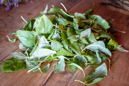 Fresh Green Microgreens on Wooden Cutting Boardの写真素材
