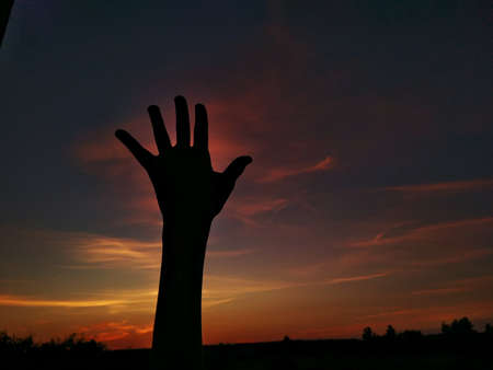 Silhouette of a hand against the background of a beautiful sunsetの写真素材