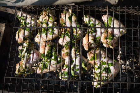 Chicken wings with spices prepared on the grill