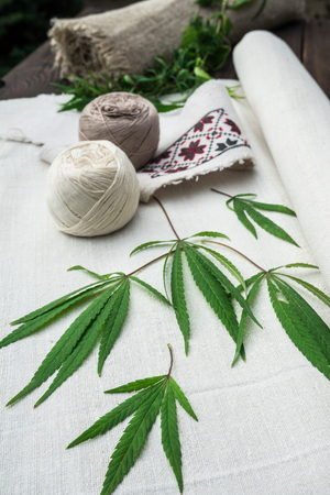 leaves of cannabis and balls of yarn on canvas. Hemp products. Agricultural technical cultureの写真素材