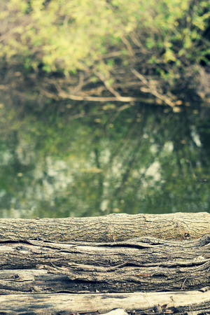 Old logs with bark on the background of the lakeの写真素材