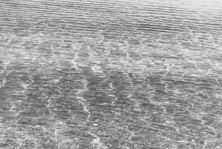 Refraction of light in clear water with small waves. Black and white photo