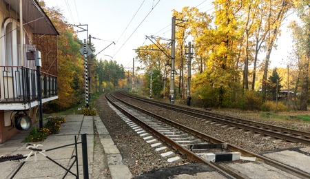 Railroad tracks on the background of autumn forestの写真素材