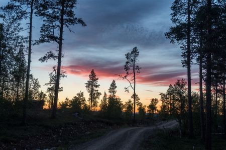Dirt road and the contours of trees at sunsetの写真素材