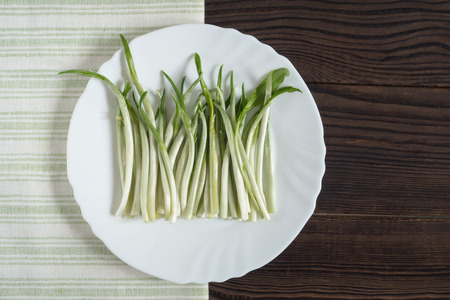 Young shoots of wild garlic on a white plate