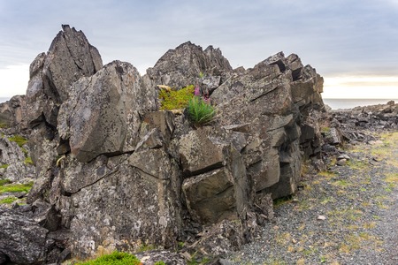 Rocky cliffs on the coast of the Barents Sea, Varangerhalvoya National Park, Varanger Peninsula,...