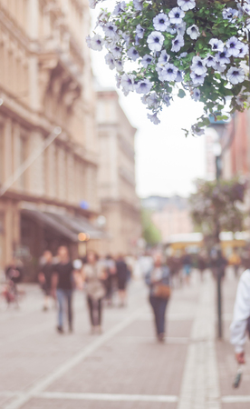 Flowering petunia on a city streetの写真素材