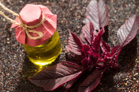 Bottles with amaranth oil, plants and amaranth seeds on a dark surfaceの写真素材