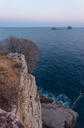 Dry bush on a rock against a blue seaの写真素材