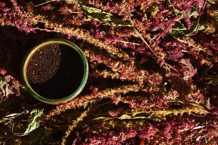 Black amaranth seed and red inflorescence in a cup