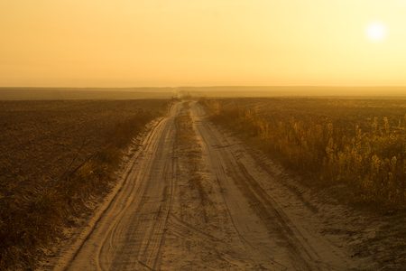 Dirt road along the field and yellow sky in the autumn morningの写真素材