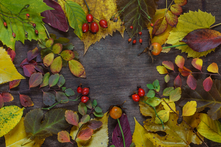 Autumn background of colorful leaves and grapes on a wooden surfaceの写真素材