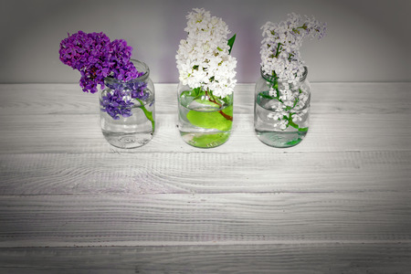 Branches of blooming multicolored lilac in glass jars on white wooden tableの写真素材