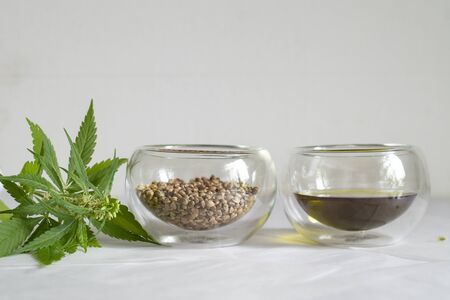 Hemp products concept. Cannabis seed oil and green plant on a white backgroundの写真素材