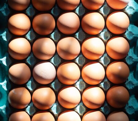 A lot of brown chicken eggs in a blue cardboard tray. Top view
