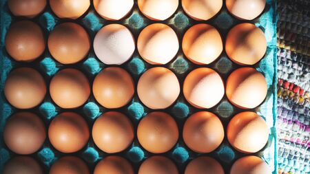 A lot of brown chicken eggs in a blue cardboard tray. Top view