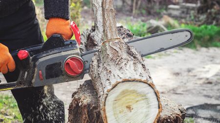 Woodcutter sawing a log with a chainsaw in the garden