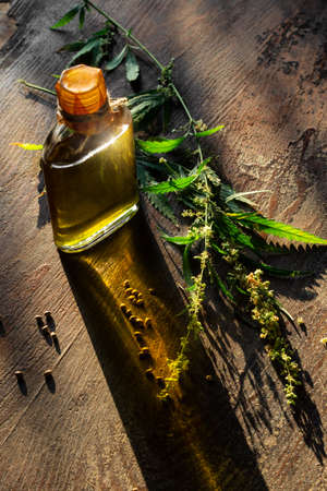 Hemp oil bottle, cannabis plant and seeds in sun glareの写真素材