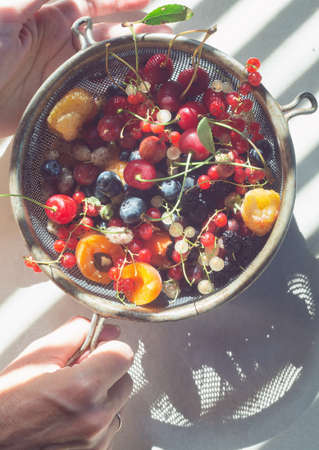 Female hands hold a metal colander with various berries.の写真素材