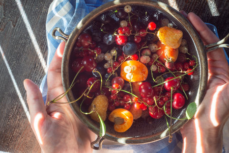 Female hands hold a metal colander with various berries.