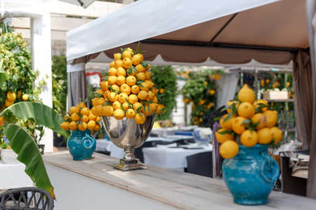 Italian cafe decoration - a fresh bouquet of many yellow lemons in antique blue color and a big metallic silver vase. Summer bright decor of citrus fruits. Lemon trees back backgroundの写真素材