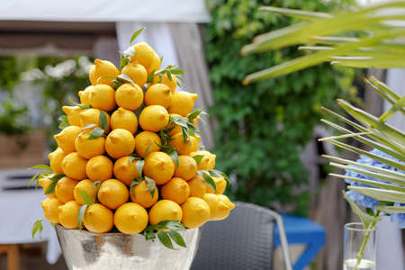 Italian antique restaurant decoration - a big fresh bouquet of many yellow lemons in metallic silver vase. Summer bright decor composition of citrus fruitsの写真素材