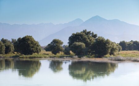 mountains through the lake and trees, Skadar lake Albaniaの写真素材