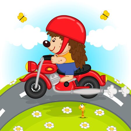 hedgehog on motorcycle rides on the roadのイラスト素材