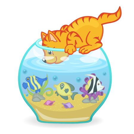 cat looking into the aquarium with fishのイラスト素材