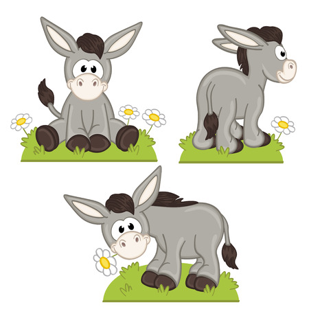 set of isolated donkey in meadow -  illustration, epsのイラスト素材