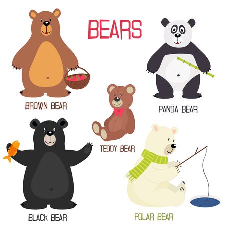 set of isolated different bearsのイラスト素材