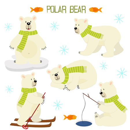 set of isolated polar bearのイラスト素材