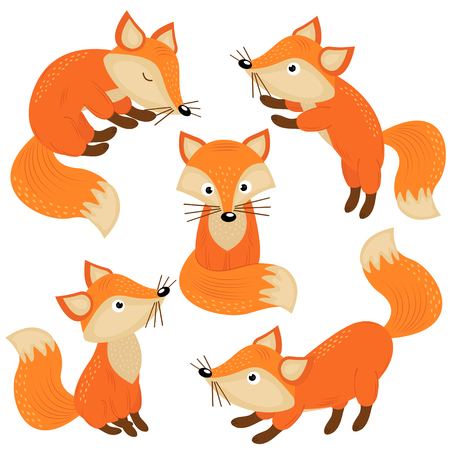Set of isolated cute foxes part 1 - vector illustration, epsのイラスト素材