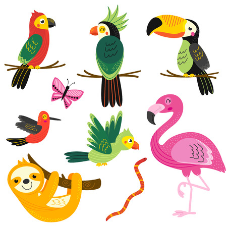 Set of isolated with tropical animals - vector illustration, epsのイラスト素材