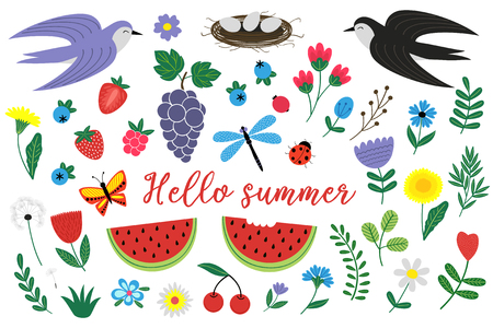 set of isolated elements of summer - vector illustration, epsのイラスト素材