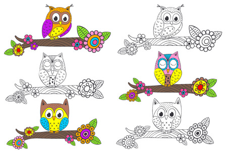 set of isolated funny owl on branch - vector illustration, epsのイラスト素材