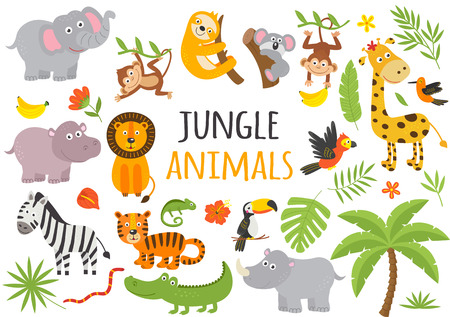 set of isolated jungle animals and tropical plantsのイラスト素材