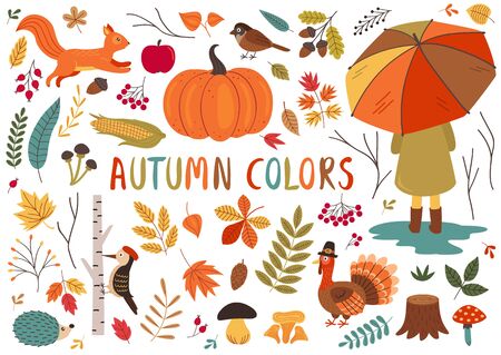 set of isolated autumn colorful elementsのイラスト素材