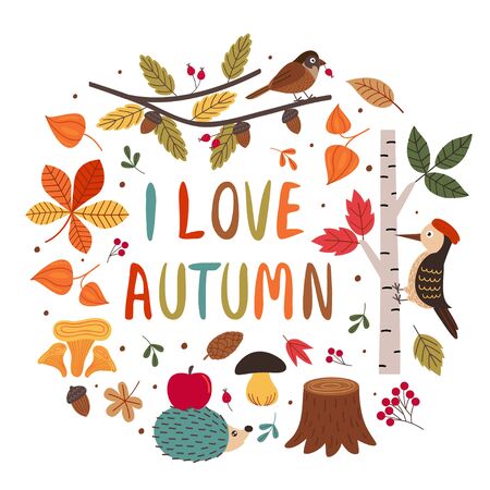 card with autumn colorful elementsのイラスト素材